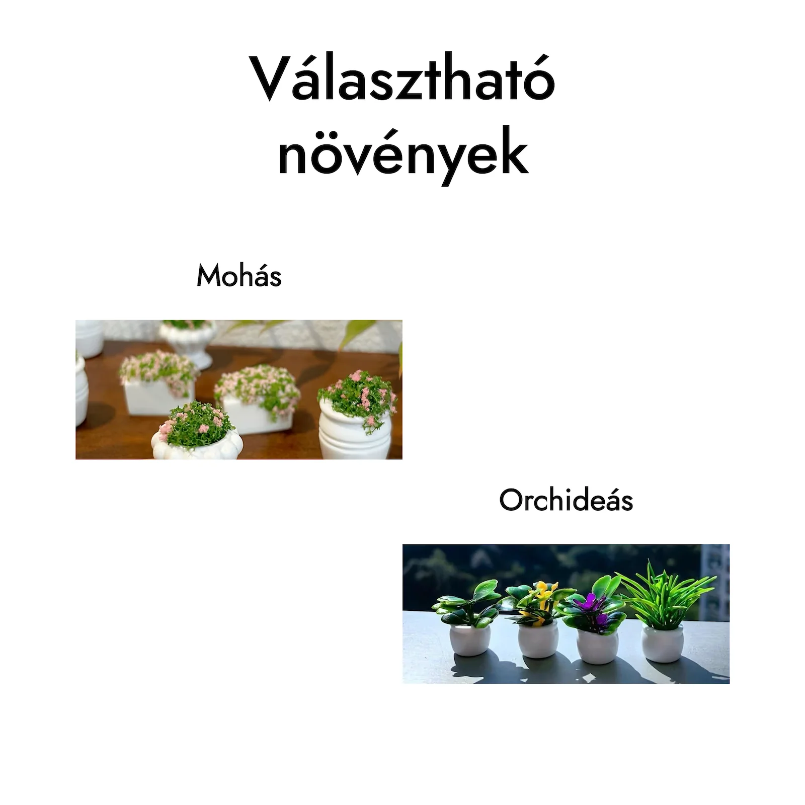 Mini Múzeum – választható növények Választható miniatűr növények: mohás díszek és orchidea
